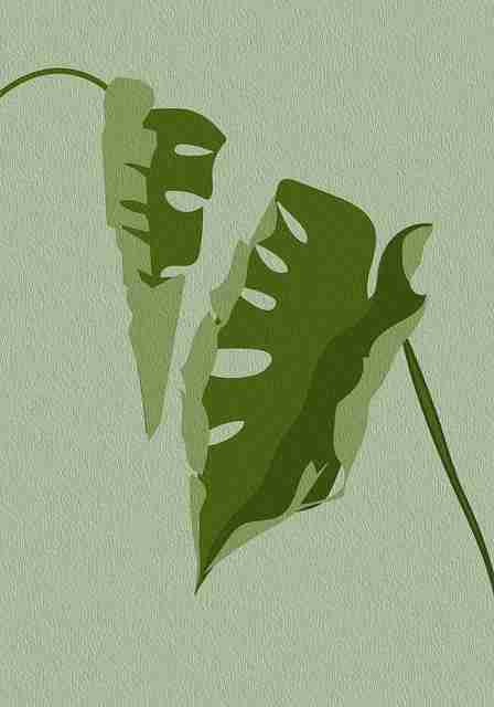 探花视频热度飙升系列|双人实录合集登上人气榜首