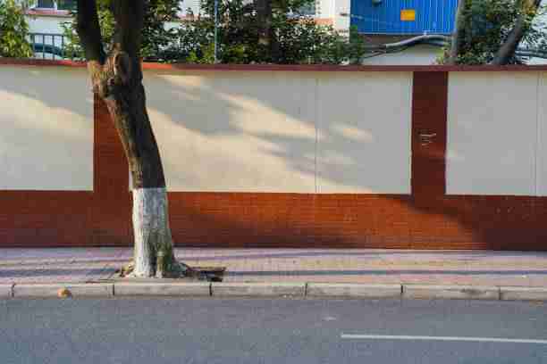 onlyfnas粉丝粘性运营法｜用户体验行为研究互动率持续走高