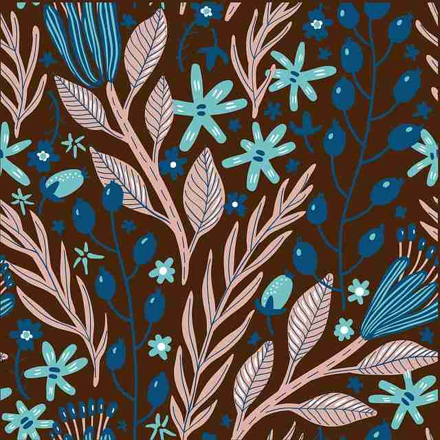 探花精选体验模式升级｜内容筛选精粹加入全新拍摄手法