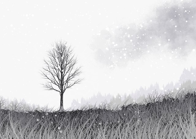 onlyfnas访问路径优化｜匿名互动结构分析用户体验大提升