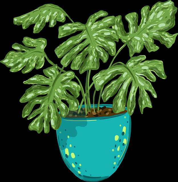 暗网禁地封禁动态实时追踪|深网爬虫行为观察最新异常路径