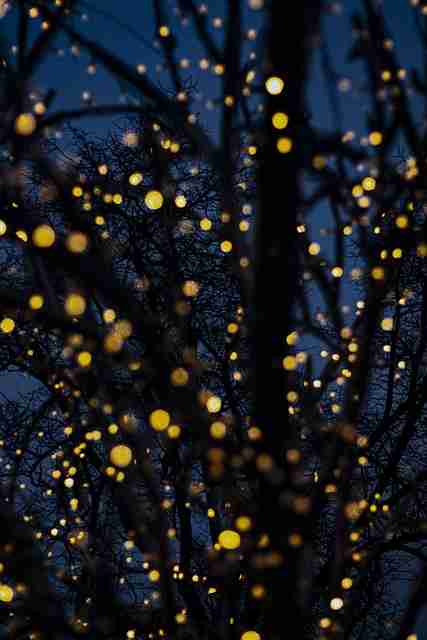 好色先生TV内容表达方式升级｜网友最爱片段分析展现更多面向