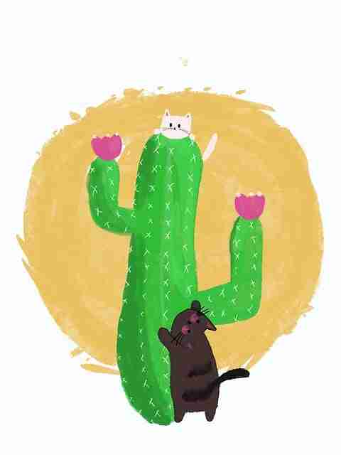 鉴黄师电脑版心理挑战大盘点｜从业者心理建设从业者如何自处