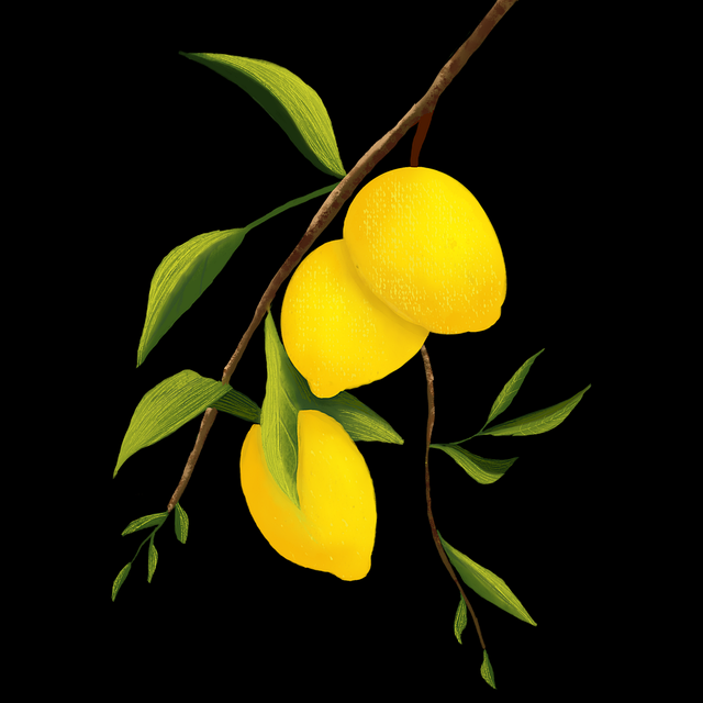 暗网禁地入口实测报告｜平台可信度评估平台安全性等级评估